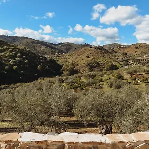 Bed & Breakfast Elements, Comares